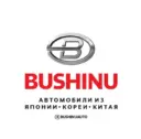 BUSHINUAUTO