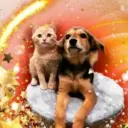 Пенаты Дружок Липецк