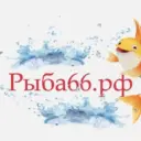 Рыба66 Екб