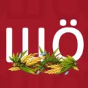 ШÖ ❓ Шебекино