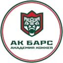 Академия хоккея «Ак Барс»