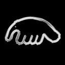 Anteater Clothing
