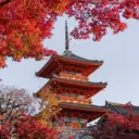 По Азии с любовью | Тревел | Туризм | Гид | Блог Путешествия Таиланд Китай Япония Малайзия Сингапур Индонезия Вьетнам Шри-Ланка Гонконг Бали Индия Корея Сеул Филиппины Лаос Тайвань Пекин Токио Азия