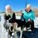 Приют для животных "Добрые руки"