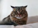 Бабка подсказала