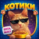 КОТИКИ 😻