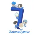 BTS | Бантанутые