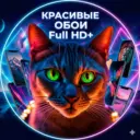 Красивые обои на телефон Full HD+