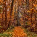 Релакс музыка. Спокойная, Успокаивающая, Расслабляющая для Сна Души Снятия Стресса, Медитации, Релаксации, Успокоения нервной системы. Инструментальная красивая мелодия без слов. Красивые мелодии