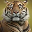 Чудо Природы