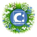 Citysakh.ru: новости Сахалина и Курил