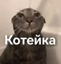Котейка