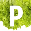 Рецептница