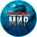 Подводный мир