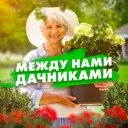 Между нами, дачниками