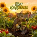 Дача цветы огород. Кот садовод