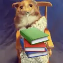 Уютный разбирает | Инвестиции