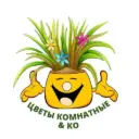 Цветы комнатные & Ко