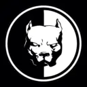 D3 Davidich Dynamic Drive