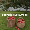 Современный дачник