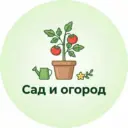 Дача Сад Огород