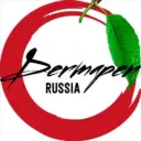 Дермапен Россия