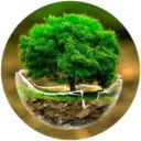 Удивительный мир