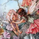 Fairyopolis.Красивые книги. Книжный магазин