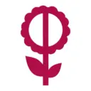 Фиалки от Фиалковода