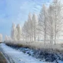 Газета Великолукского района "НАШ ПУТЬ"