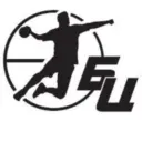 Гандбол. Быстрый центр