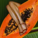 Нескучный ВЕЛНЕС