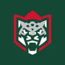 ХК «Ак Барс»