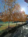 Новости МБДОУ №19 ст.Ново-Осетинской