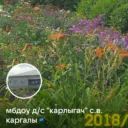 МБДОУ детский сад «Карлыгач » с. Верхние Каргалы