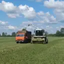 МБУ»Управление сельского хозяйства МР Буздякский район РБ»