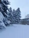 МБОУ «Октябрьская СОШ»