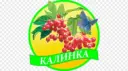 МАДОУ МО г. Краснодар «Детский сад 184»