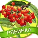МАДОУ ЦРР-д/с 18 "Рябинка" МО Кавказский район