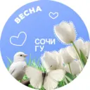 Сочинский госуниверситет