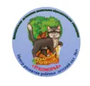 МАДОУ ЦРР 19
