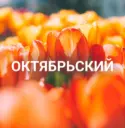 Октябрьский район | Красноярск