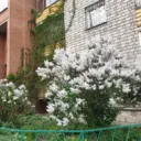ТСЖ ЗЕНИТ - инфо канал