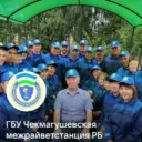 ГБУ Чекмагушевская МРВС РБ