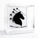 МБОУ СОШ N5 г. Дюртюли