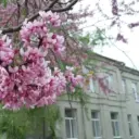 Жизнь Первой Школы