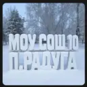 МОУ СОШ №10 п. Радуга