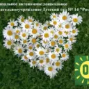 МАДОУ д/с № 14 "Ромашка"