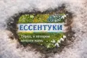 Ессентуки: официально