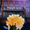 МБОУ лицей №23 города Ставрополя